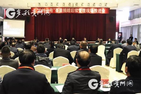 浙茶集團受邀參加“白葉一號”茶苗捐贈后續管理現場(chǎng)推進(jìn)會(huì )